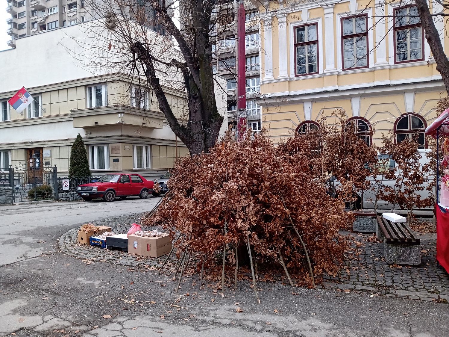 SREĆAN BADNJI DAN! – Zapadna Srbija